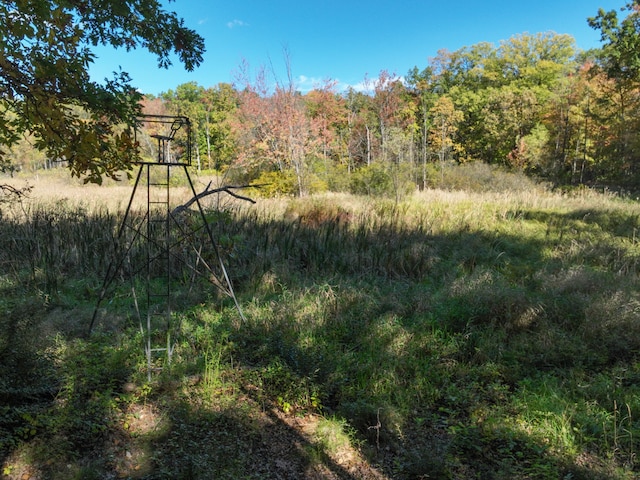 view of nature