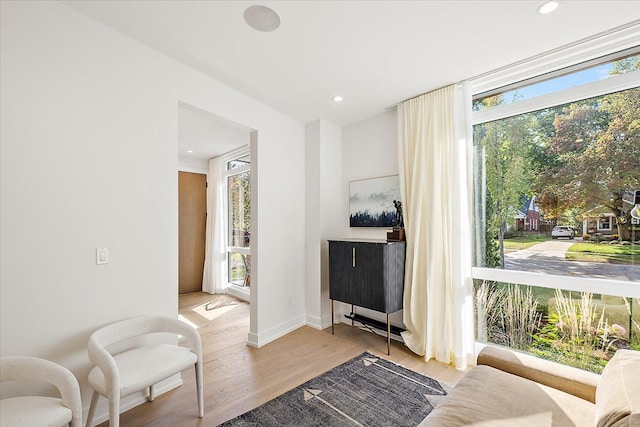 sitting room with light wood-type flooring