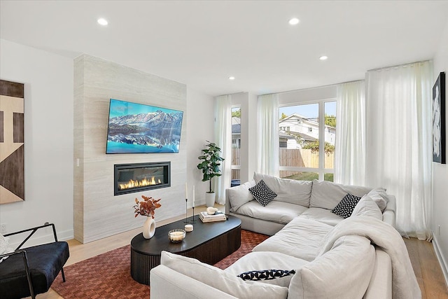 living room featuring a fireplace and wood-type flooring