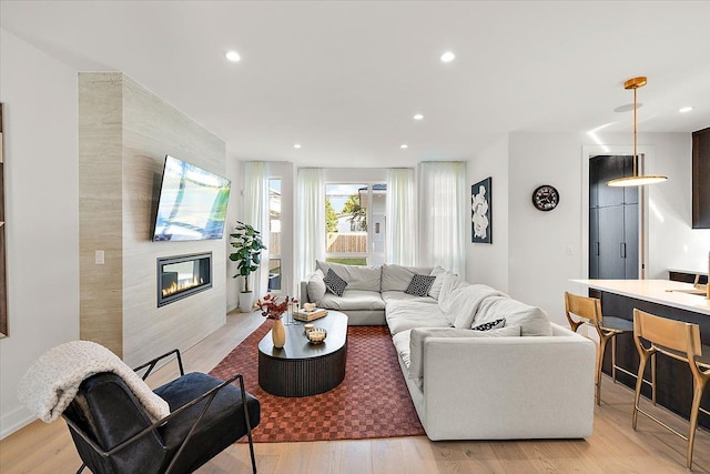 living room featuring a fireplace and light hardwood / wood-style flooring