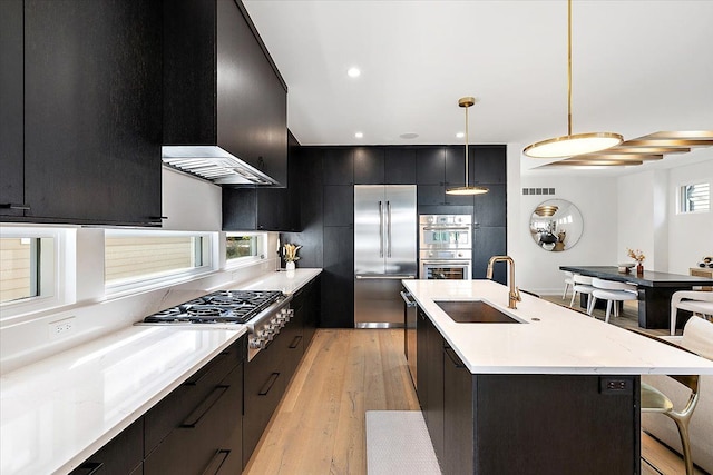 kitchen featuring pendant lighting, sink, light wood-type flooring, an island with sink, and appliances with stainless steel finishes