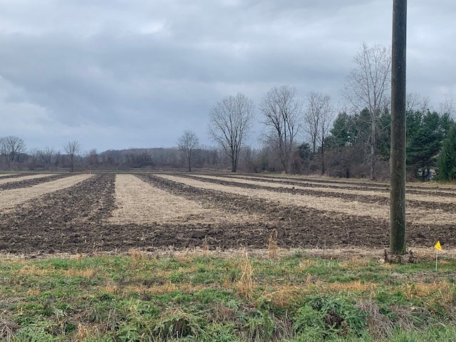 2.0ACRESVACANTLAND Coon Creek Rd, Armada, MI 48005