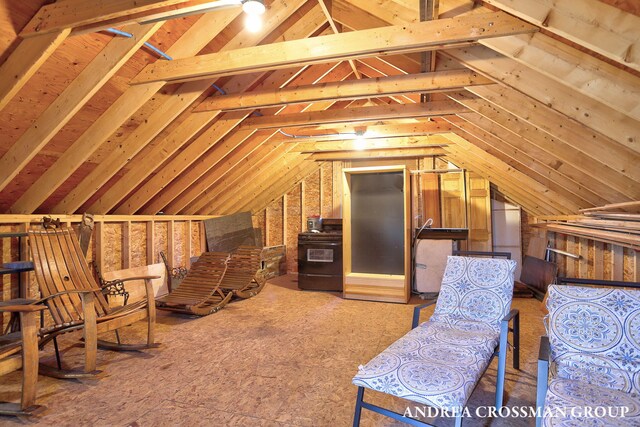 1155 Edgewater Ter, South Haven, MI 49090 - view of unfinished attic