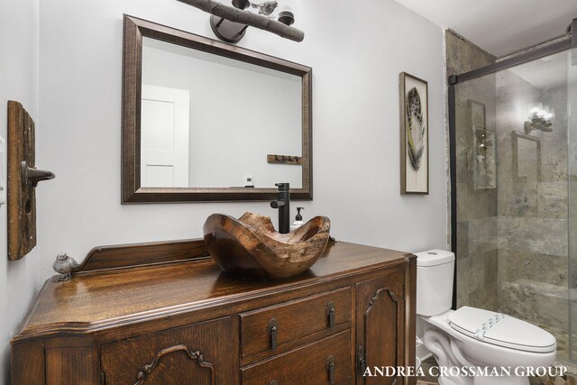 1155 Edgewater Ter, South Haven, MI 49090 - bathroom with toilet, vanity, and a stall shower