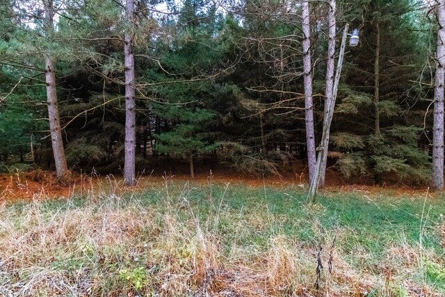 6152 Old State Rd, North Branch, MI 48461 - photo 13
