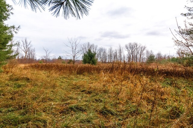 6152 Old State Rd, North Branch, MI 48461 - photo 14
