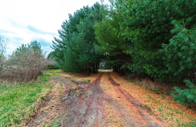 6152 Old State Rd, North Branch, MI 48461 - photo 20