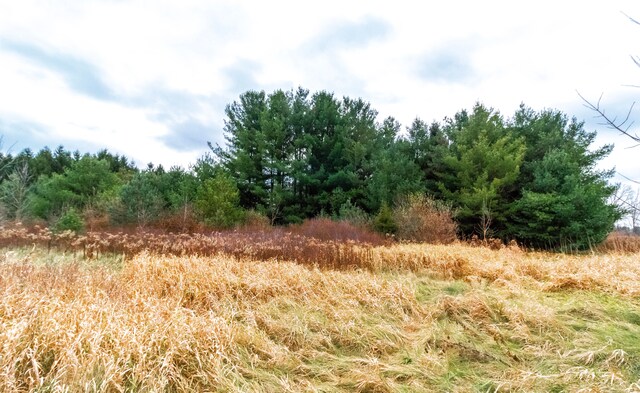 6152 Old State Rd, North Branch, MI 48461 - photo 21