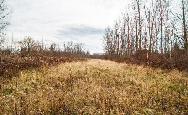 6152 Old State Rd, North Branch, MI 48461 - photo 30