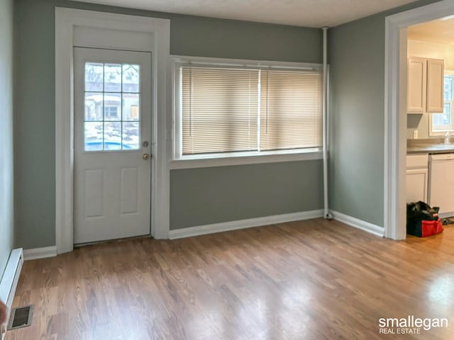 doorway with light hardwood / wood-style floors and a healthy amount of sunlight