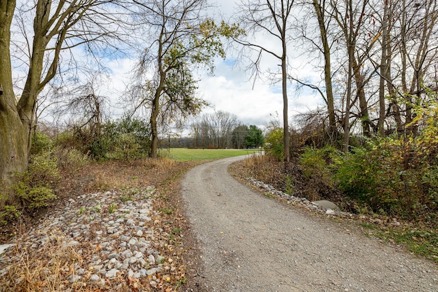 5000 Sylvania-Petersburg Rd, Petersburg, MI 49270 - photo 5