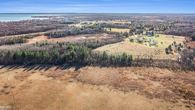 470 Michelson Rd, Houghton Lake, MI 48629 - bird's eye view of a nearby body of water