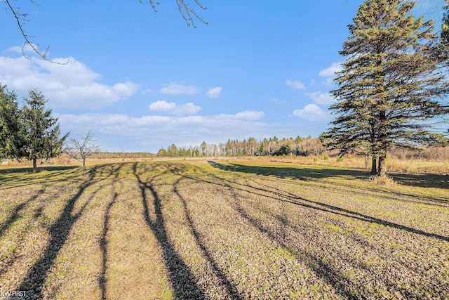 470 Michelson Rd, Houghton Lake, MI 48629 - view of street featuring a rural view