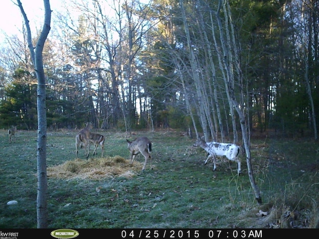 470 Michelson Rd, Houghton Lake, MI 48629 - view of yard