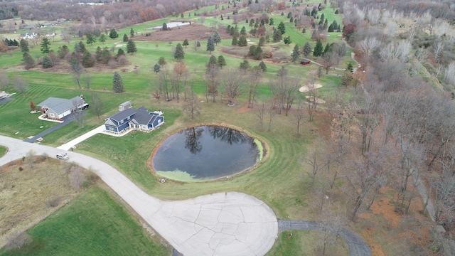 471 Dama View Ct, Howell, MI 48855