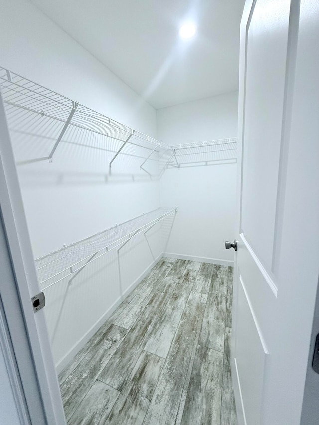 spacious closet featuring hardwood / wood-style flooring