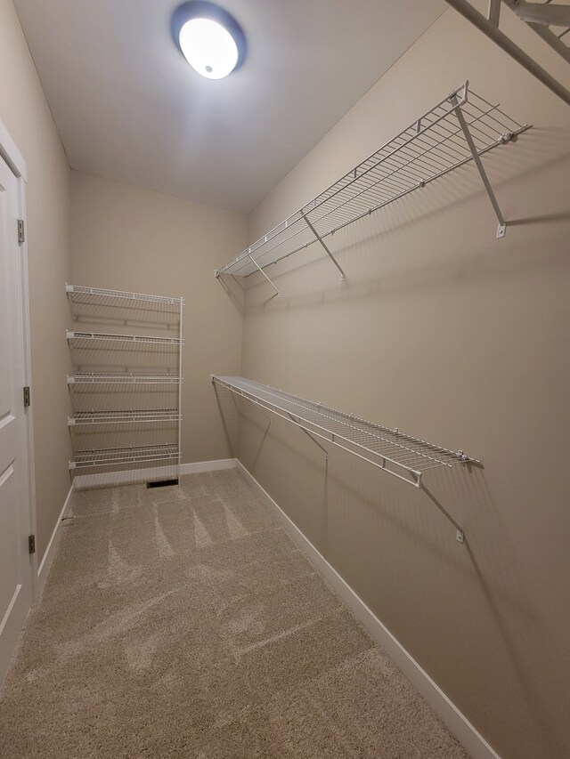 spacious closet with carpet floors