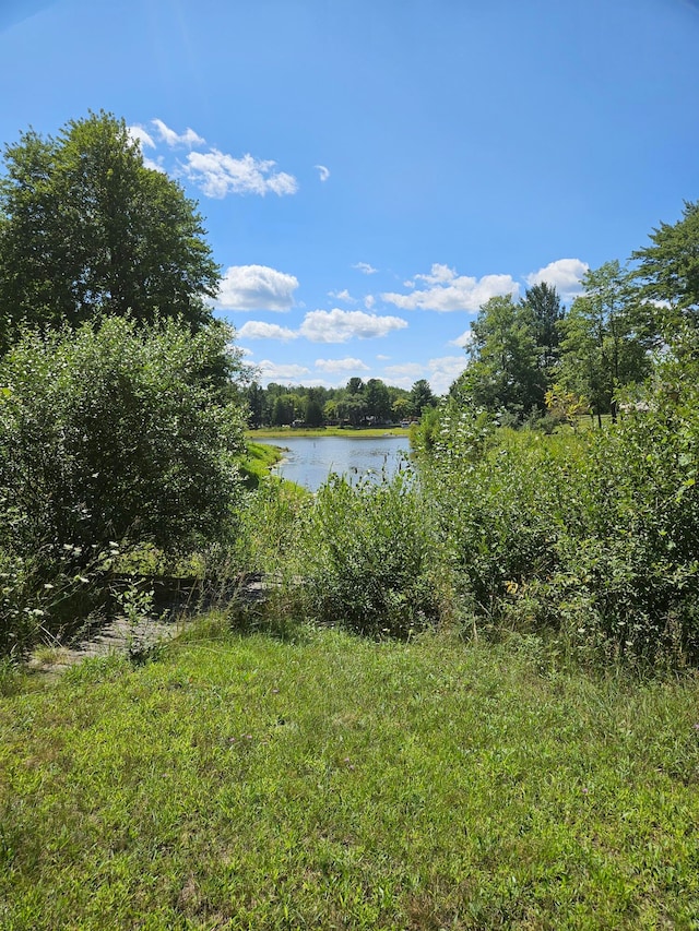 view of water feature