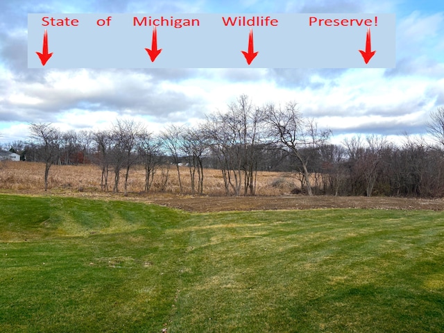 view of yard featuring a rural view