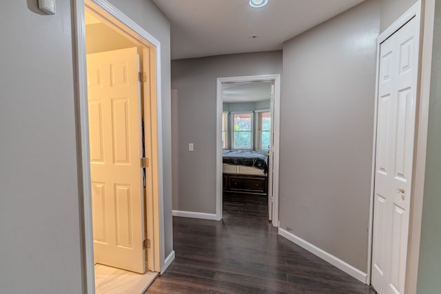 hallway featuring dark wood-type flooring