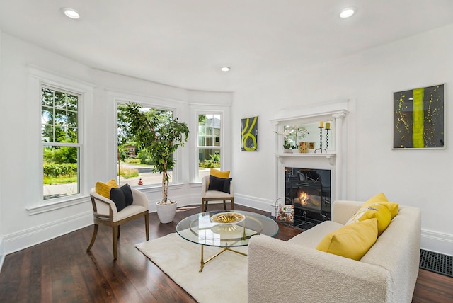 living room featuring dark wood-type flooring