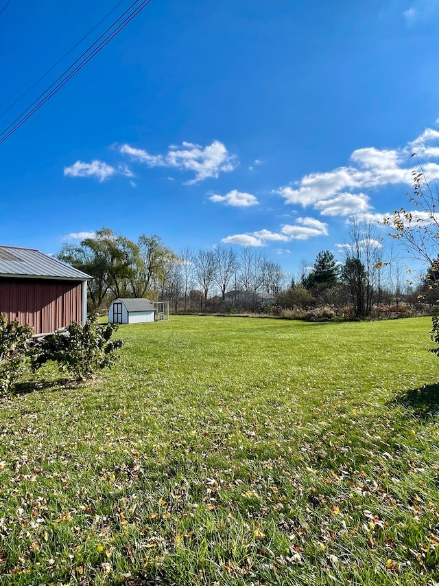 view of yard with a storage shed