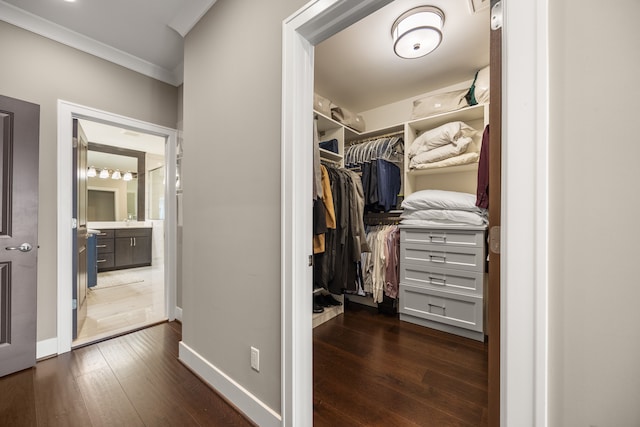 spacious closet featuring dark hardwood / wood-style flooring and sink