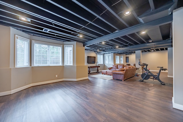 basement featuring hardwood / wood-style floors