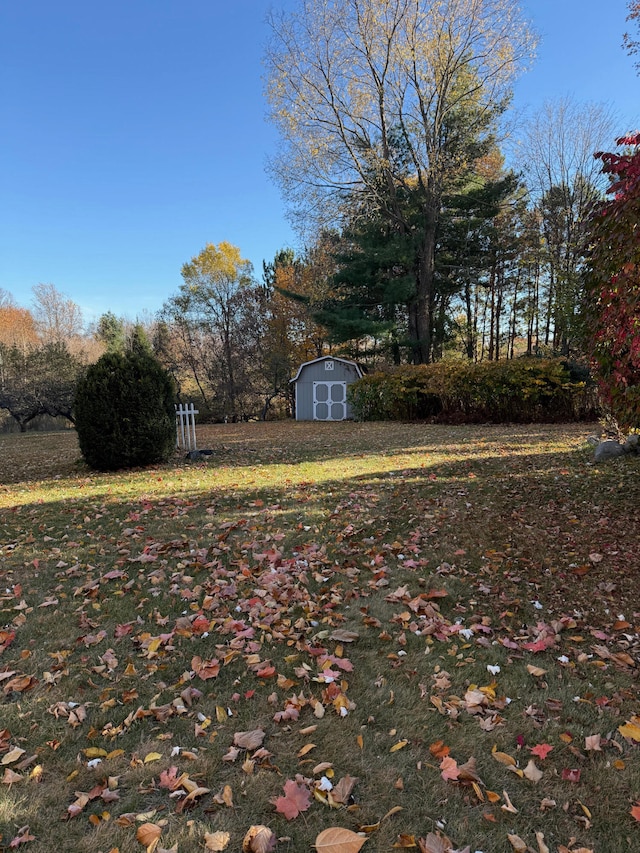 view of yard with a storage shed