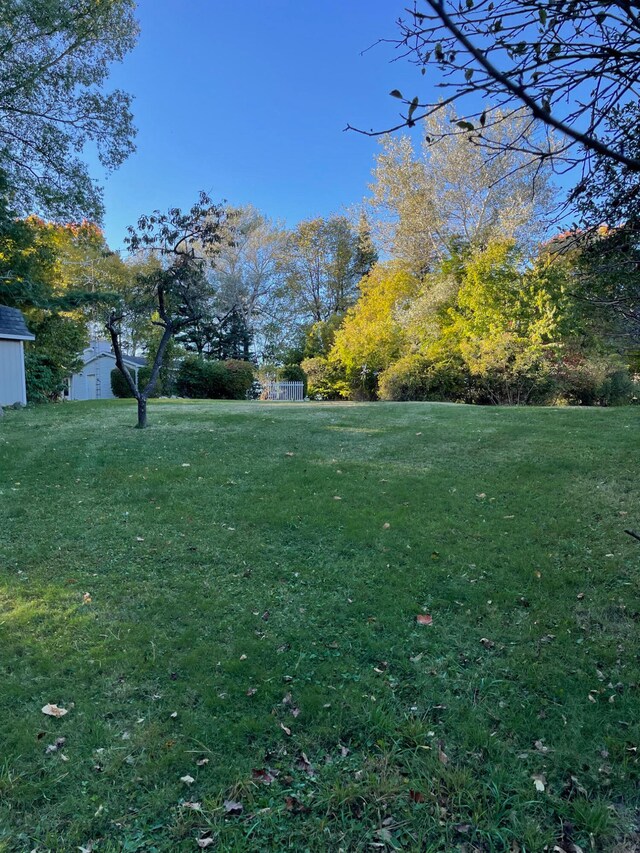 view of yard