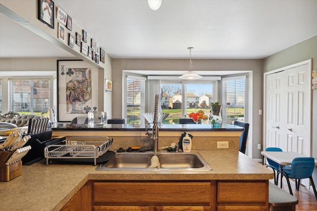 kitchen featuring hardwood / wood-style flooring, sink, and a wealth of natural light