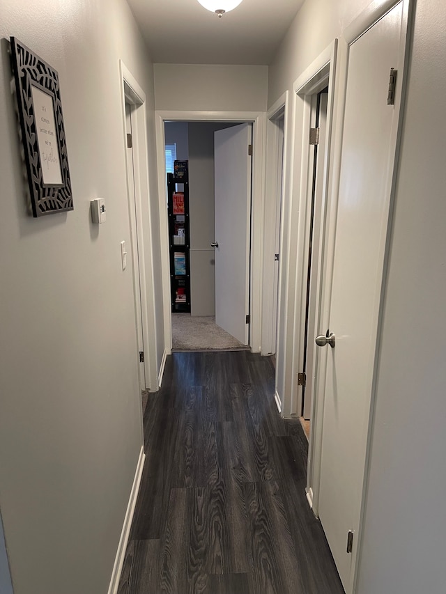 hall featuring dark wood-type flooring