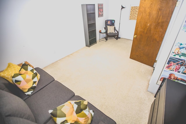 living room featuring light colored carpet