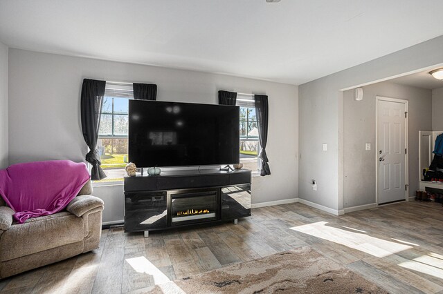 living room featuring hardwood / wood-style flooring