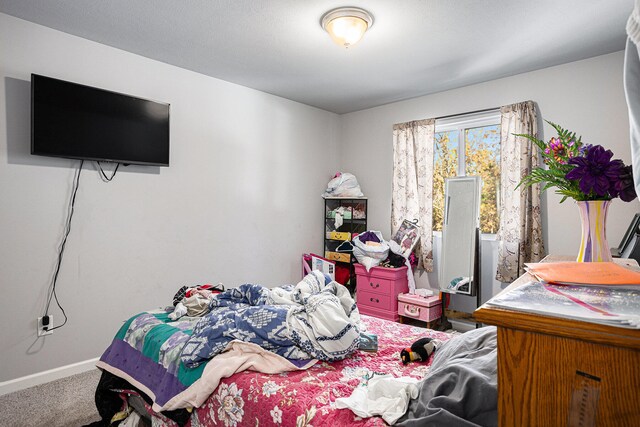 bedroom featuring carpet floors