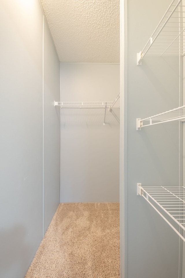 walk in closet featuring carpet floors