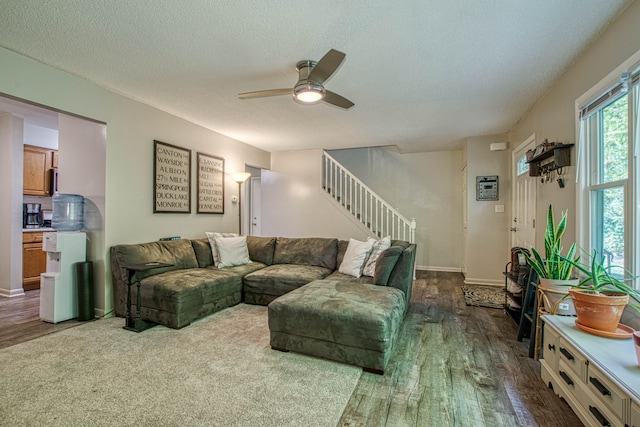 living room with ceiling fan, wood-type flooring, and a textured ceiling