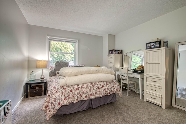 bedroom with carpet floors and a textured ceiling