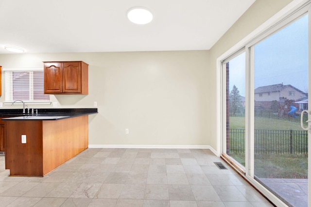 kitchen with a wealth of natural light and sink