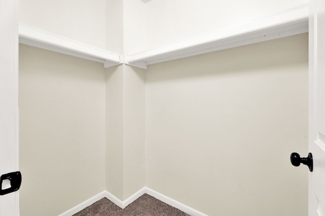 spacious closet featuring carpet floors