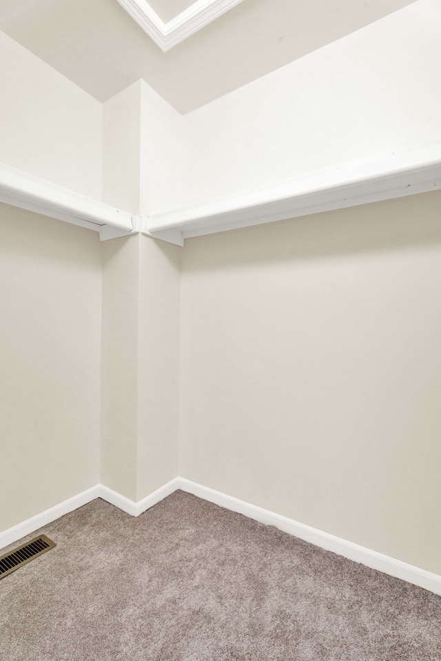 spacious closet with carpet flooring