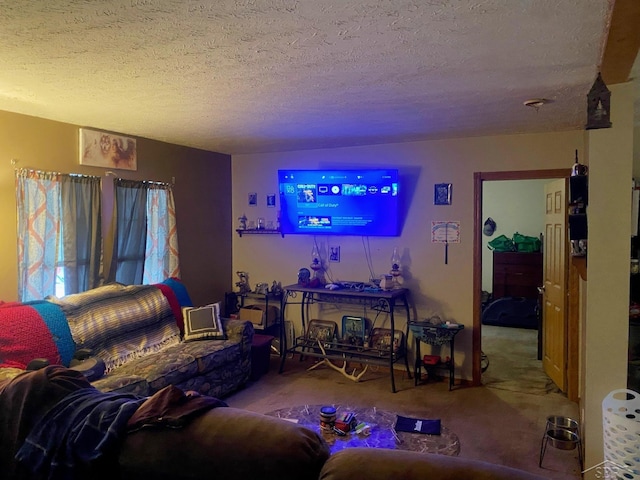 carpeted living room with a textured ceiling