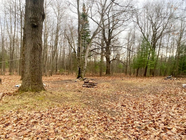 view of local wilderness