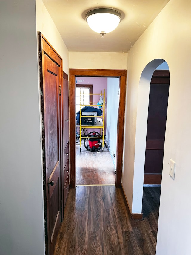 hall featuring dark hardwood / wood-style flooring