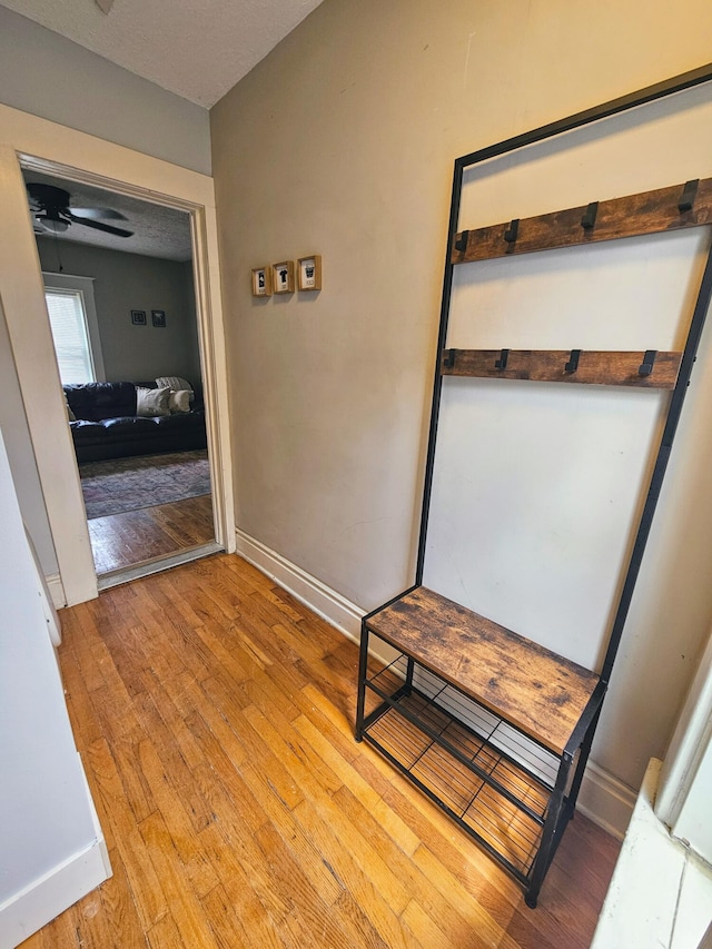 hall featuring light hardwood / wood-style floors