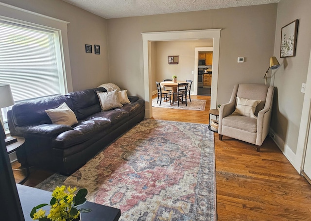 living room featuring wood-type flooring and a textured ceiling