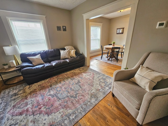 living room with a healthy amount of sunlight, a textured ceiling, and hardwood / wood-style flooring