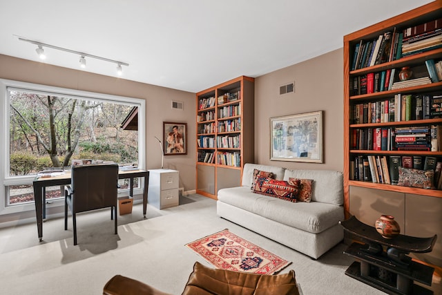 office with light colored carpet and track lighting