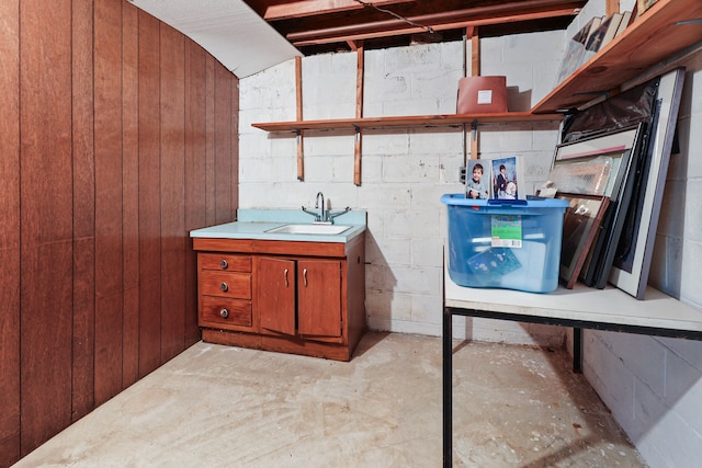 basement featuring wooden walls and sink