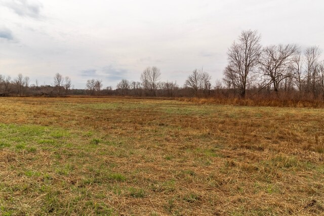 VL Roods Lake Road, Lapeer, MI 48446 - photo 5